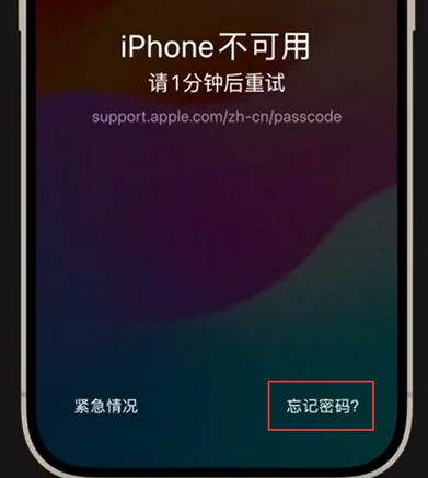 罗定苹果手机密码维修分享iPhone忘记了刚设置的密码 